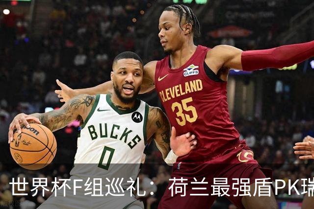 世界杯F组巡礼：荷兰最强盾PK瑞典犀利刀 日本短板明显