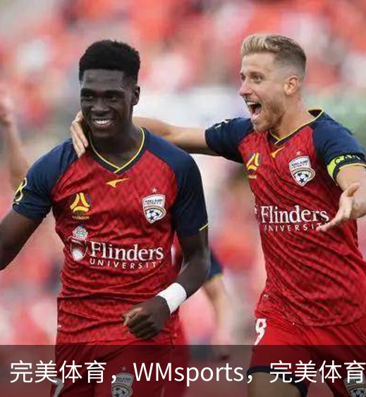 完美体育，WMsports，完美体育官方，完美体育平台，完美体育下载介绍